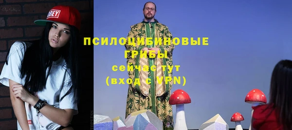 прущий лед Лиски