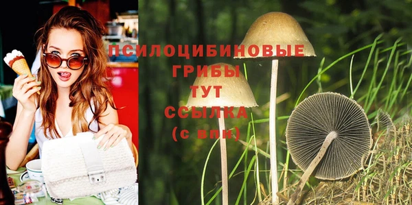 прущий лед Лиски