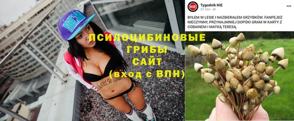 прущий лед Лиски