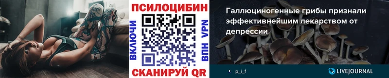 дарнет шоп KRAKEN сайт Псилоцибиновые грибы Cubensis Щёлкино